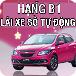 hoc-lai-xe-oto-so-tu-dong-banner