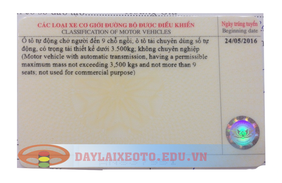 hoc-lai-xe-so-tu-dong-2