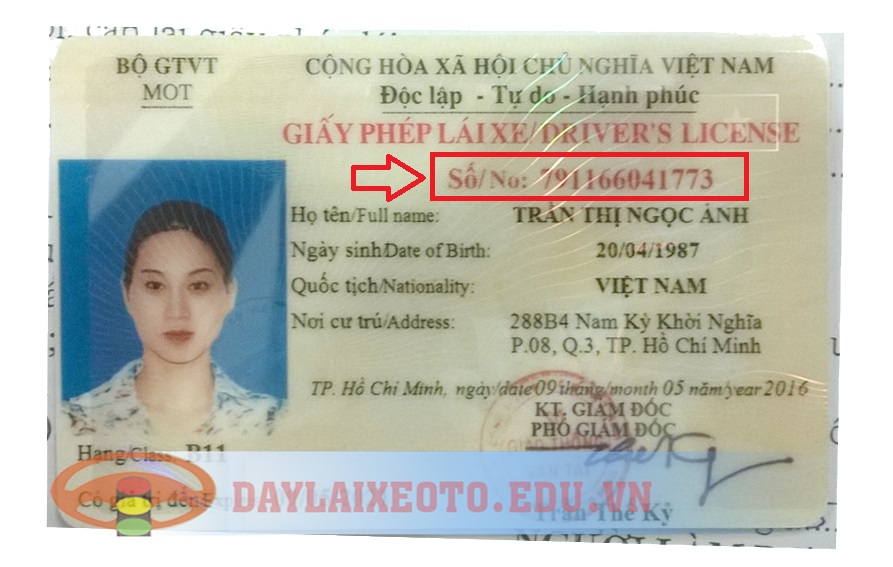 tra-cuu-giay-phep-lai-xe-7